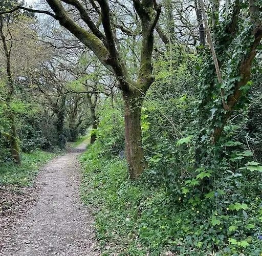 Bois Flotte Netflix Parking