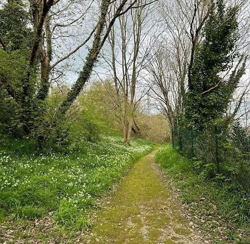 Daire Bois Flotte Netflix Parking *