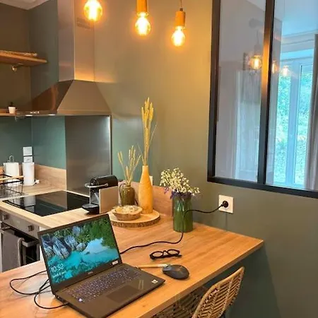 Apartment Bois Flotte Netflix Parking