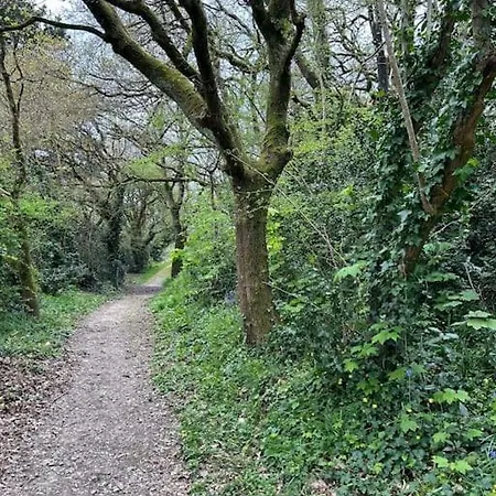 Bois Flotte Netflix Parking