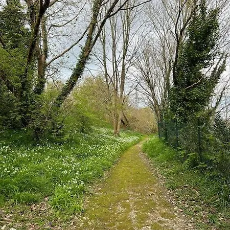 公寓 Bois Flotte Netflix Parking *